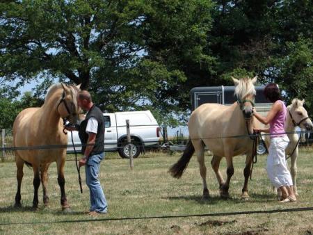 Konny et Hongroise � Montbron